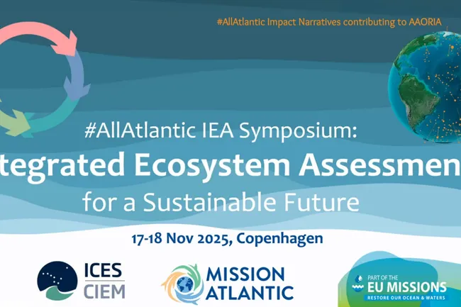 image-8a34715497904a42ce13a8969c792afcd35e049e-1321x740-png