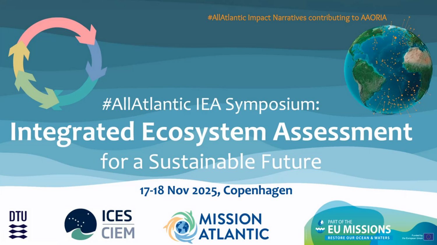 image-8a34715497904a42ce13a8969c792afcd35e049e-1321x740-png